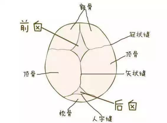 宝宝的囟门是不能触碰的禁区吗?