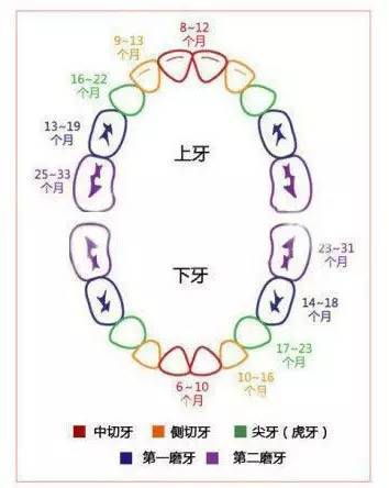 备孕,怀孕,产后育儿必须知道的一些事